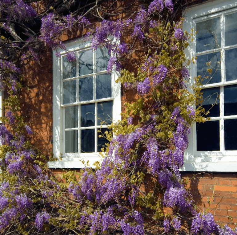 fenetres